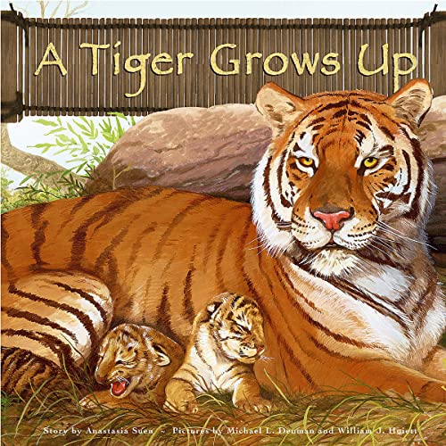 Cover of A Tiger Grows Up