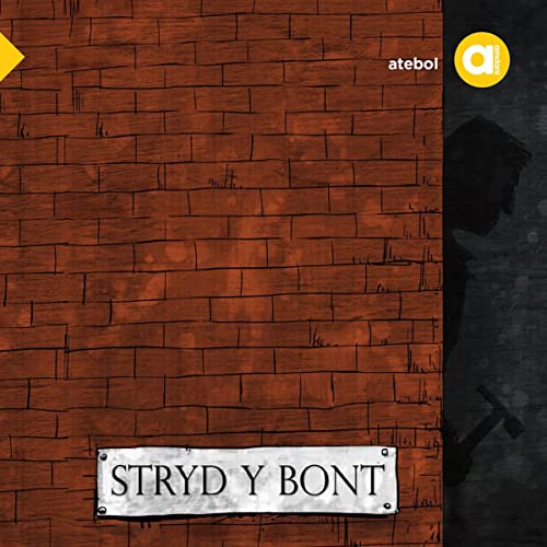 Cover of Stryd y Bont [Bridge Street]