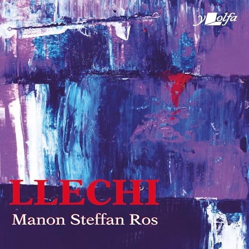 Cover of Llechi (Welsh Edition)