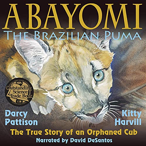 Cover of Abayomi, the Brazilian Puma