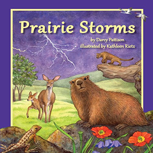 Cover of Prairie Storms