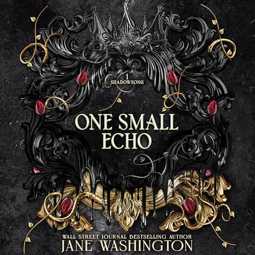 Cover of One Small Echo
