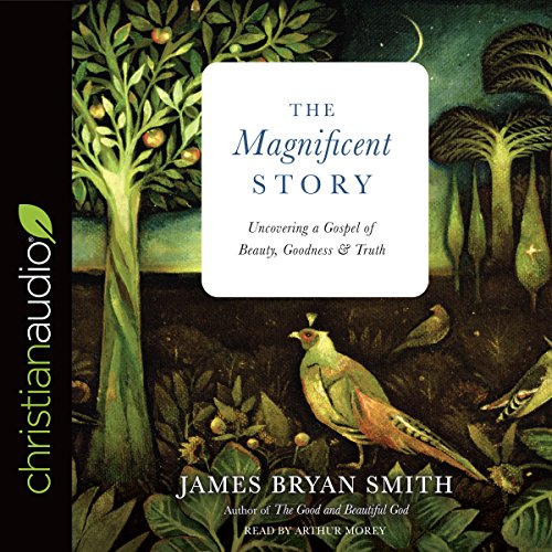 Cover of Magnificent Story