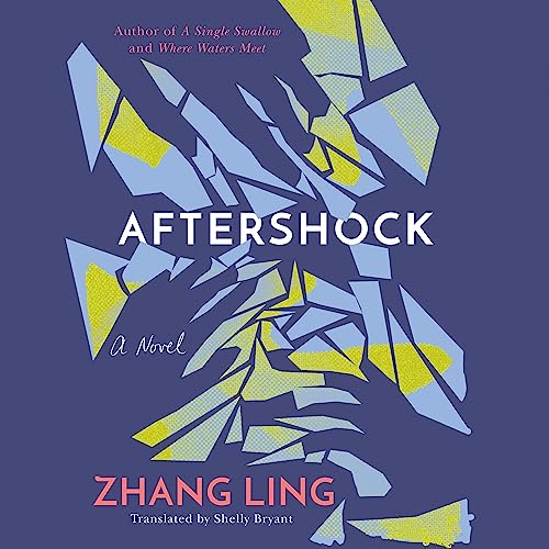 Cover of Aftershock