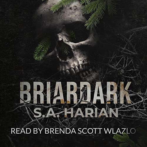 Cover of Briardark