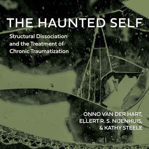 Cover of The Haunted Self
