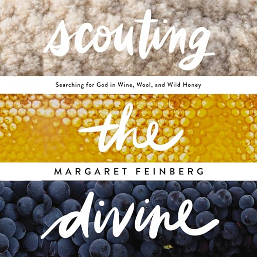 Cover of Scouting the Divine