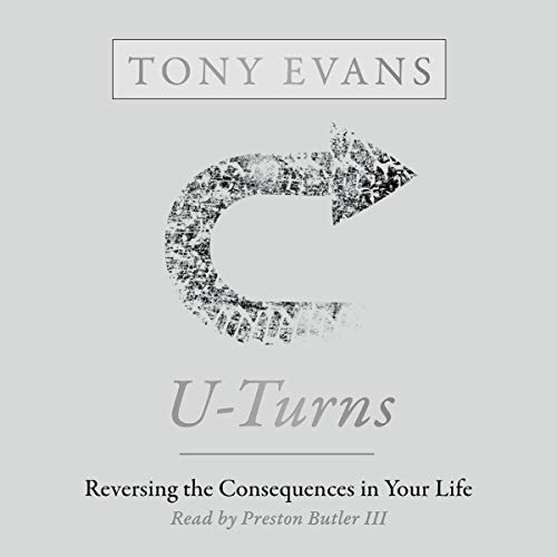 Cover of U-Turns