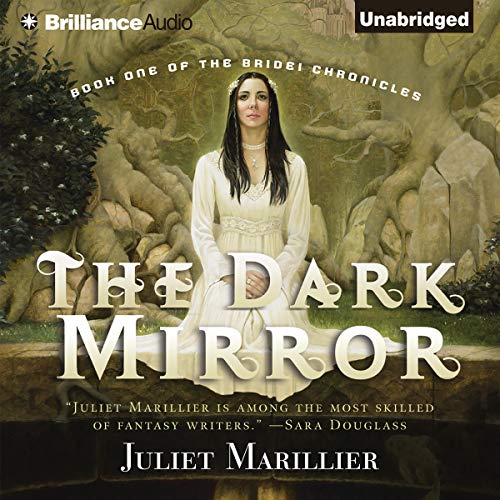 Cover of The Dark Mirror