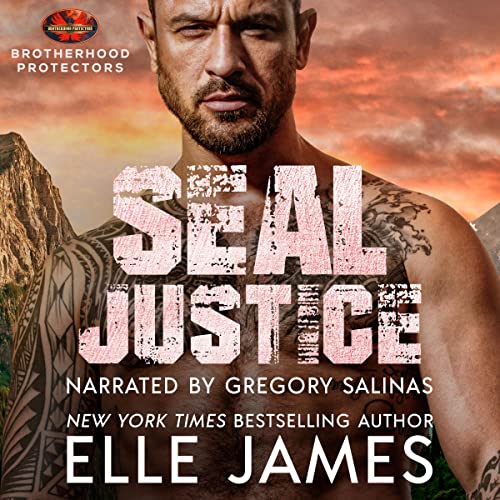 Cover of Seal Justice