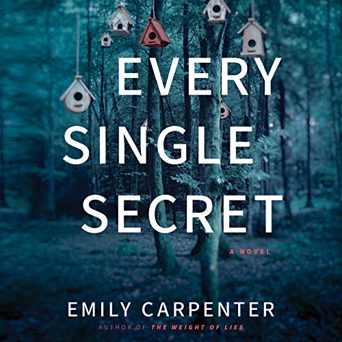 Cover of Every Single Secret