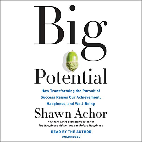 Cover of Big Potential