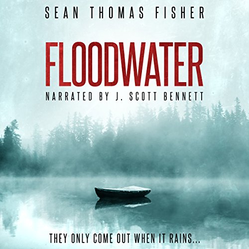 Cover of Floodwater