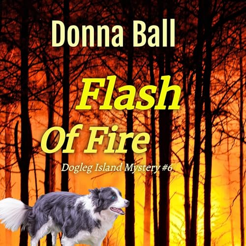 Cover of Flash of Fire