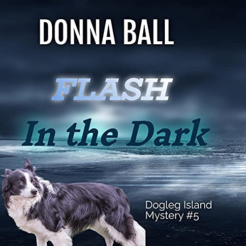 Cover of Flash in the Dark