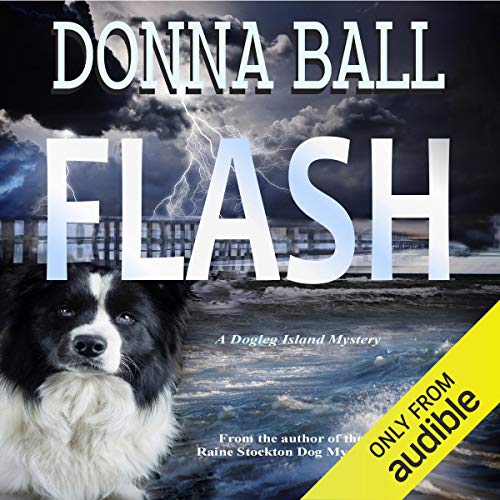 Cover of Flash