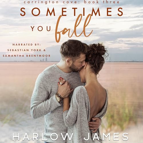 Cover of Sometimes You Fall