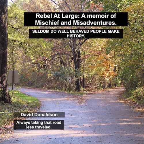 Cover of Rebel at Large