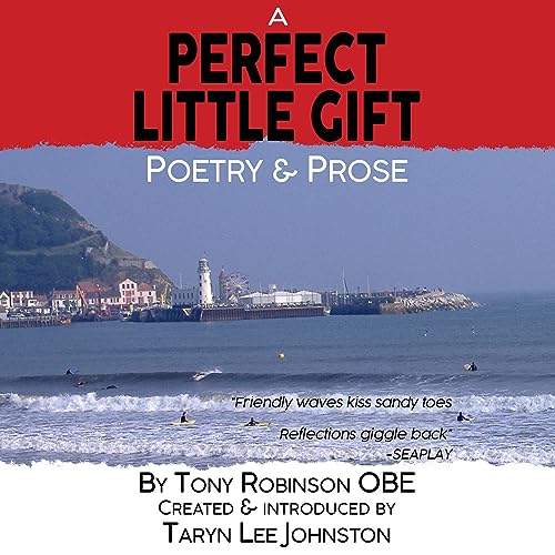 Cover of A Perfect Little Gift