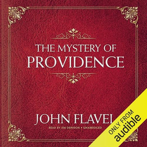 Cover of The Mystery of Providence