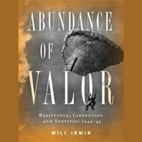 Cover of Abundance of Valor