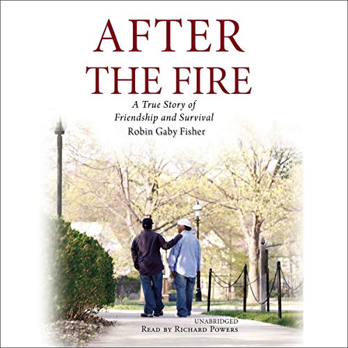 Cover of After the Fire