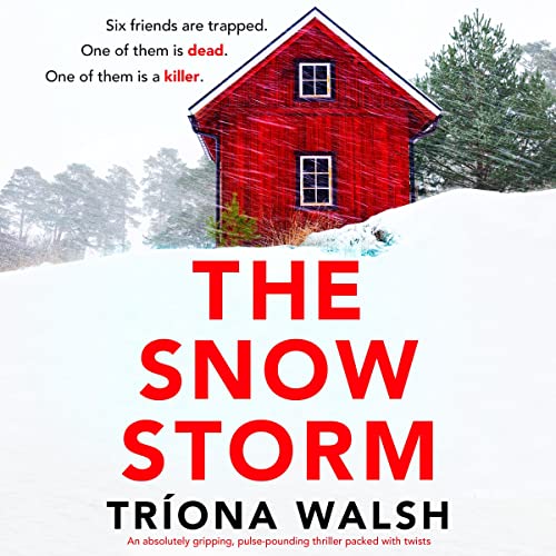 Cover of The Snowstorm
