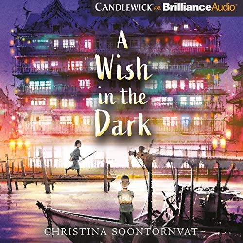 Cover of A Wish in the Dark