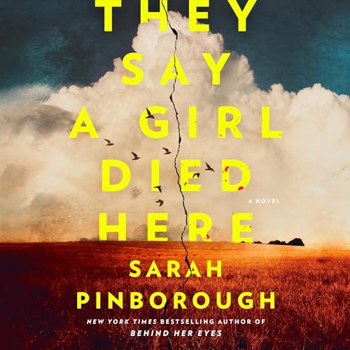 Cover of They Say a Girl Died Here