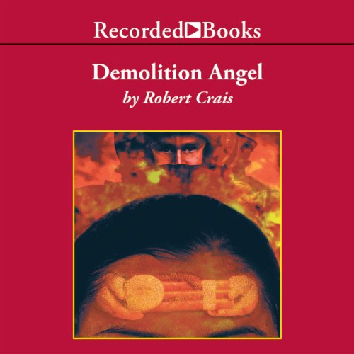 Cover of Demolition Angel