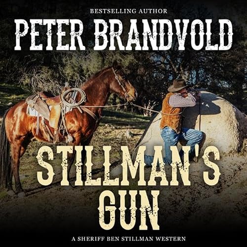 Cover of Stillman's Gun