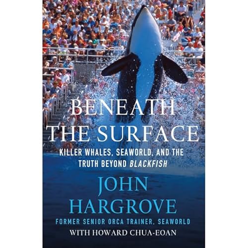 Cover of Beneath the Surface