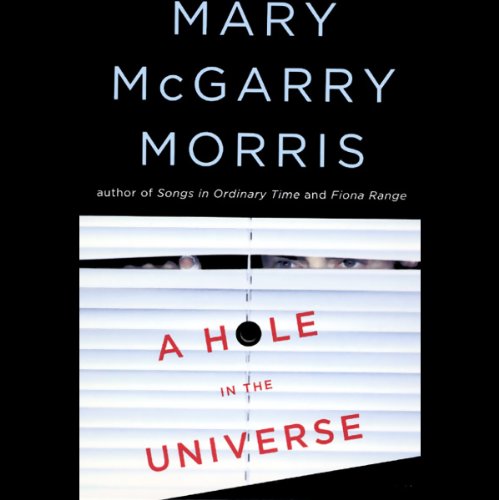 Cover of A Hole in the Universe