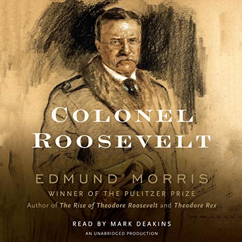Cover of Colonel Roosevelt