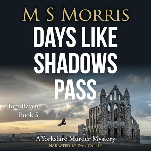 Cover of Days Like Shadows Pass