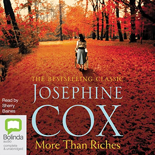 Cover of More Than Riches
