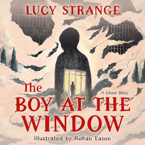 Cover of The Boy at the Window