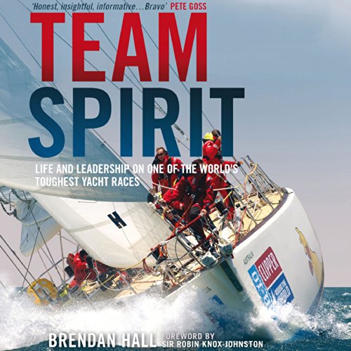 Cover of Team Spirit
