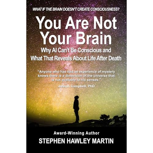Cover of You Are Not Your Brain