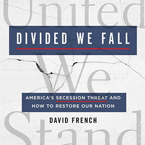 Cover of Divided We Fall