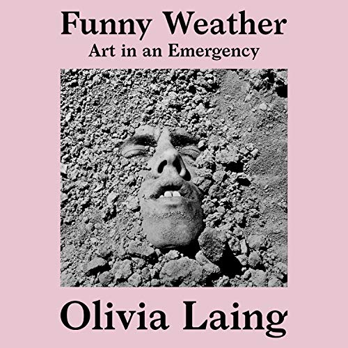 Cover of Funny Weather