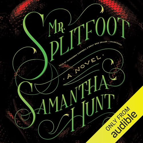 Cover of Mr. Splitfoot