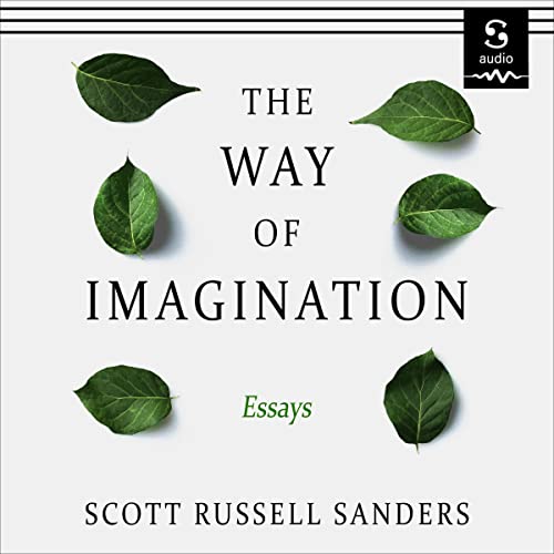 Cover of The Way of Imagination