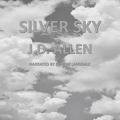 Cover of Silver Sky
