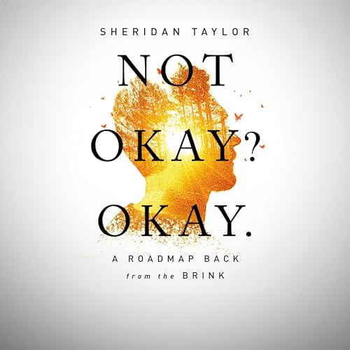Cover of Not Okay? Okay.
