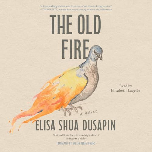 Cover of The Old Fire