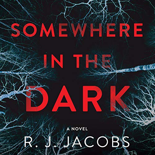 Cover of Somewhere in the Dark