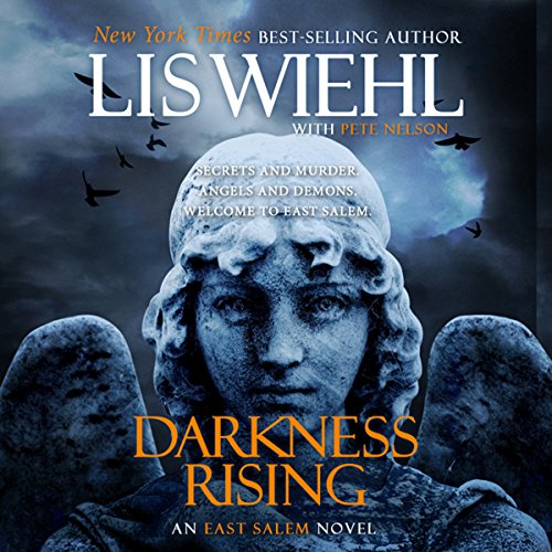 Cover of Darkness Rising