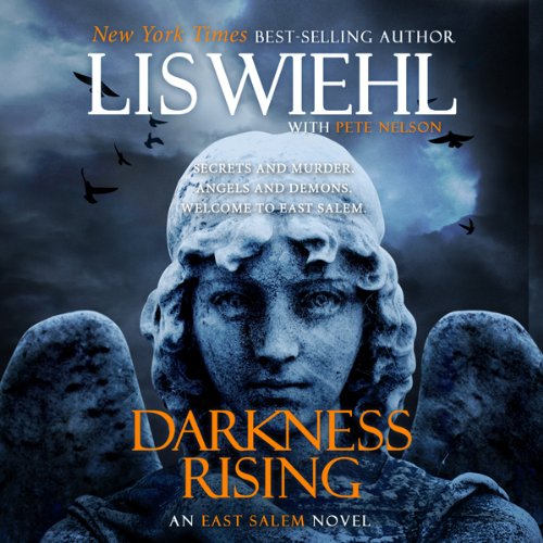 Cover of Darkness Rising