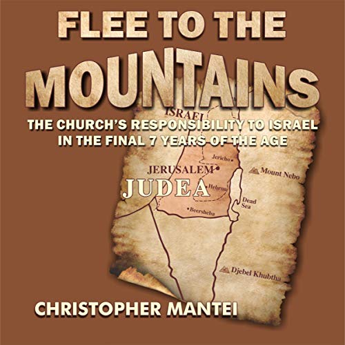 Cover of Flee to the Mountains